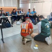 mate-08jpg000205185be0-c318-4065-8283-8c4650cf67e2