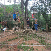 viamao-26