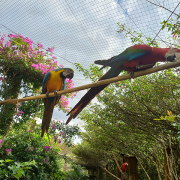 viamao-30