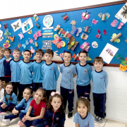 borboletas-01